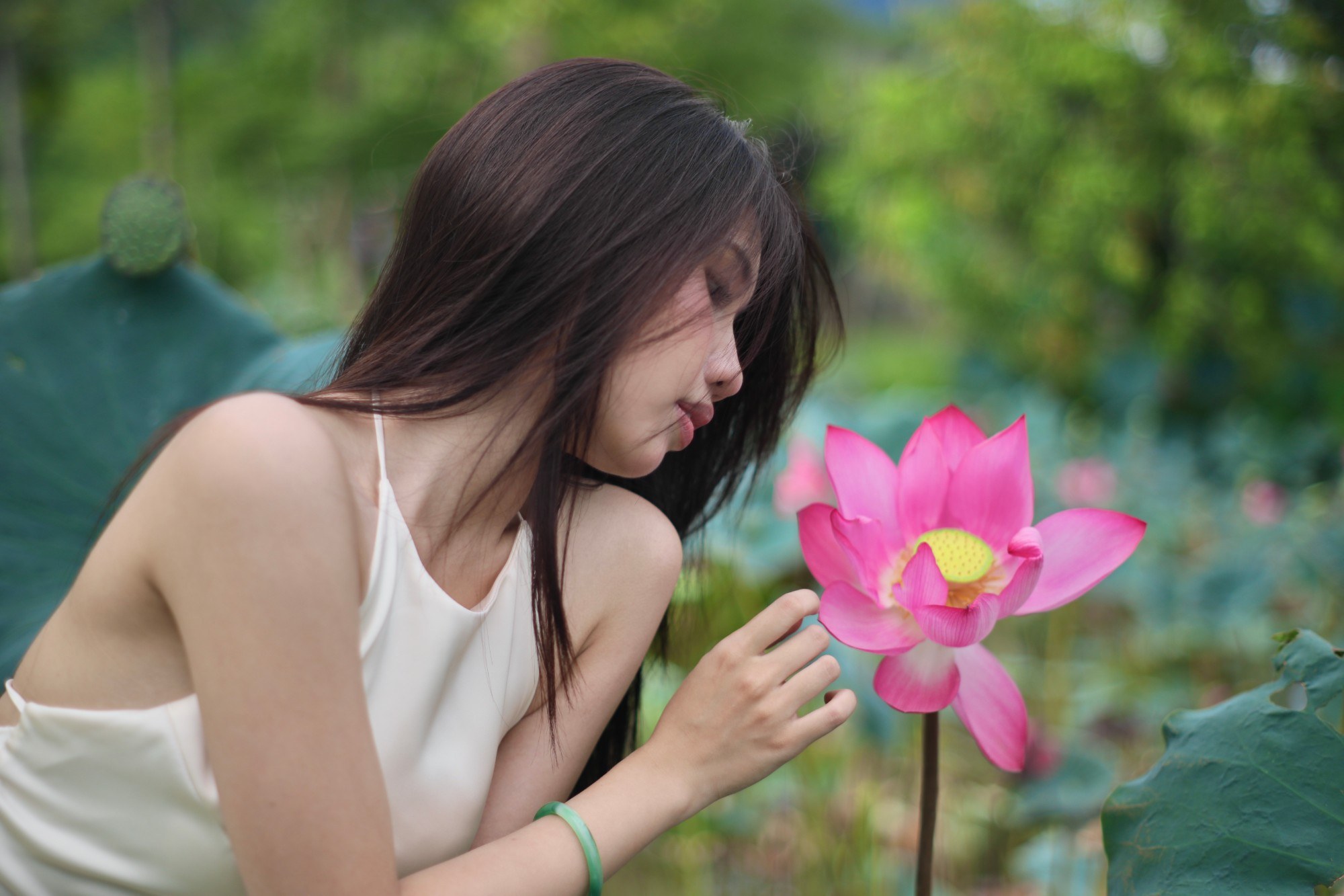 Chụp ảnh sen Hồ Trà Lý 2